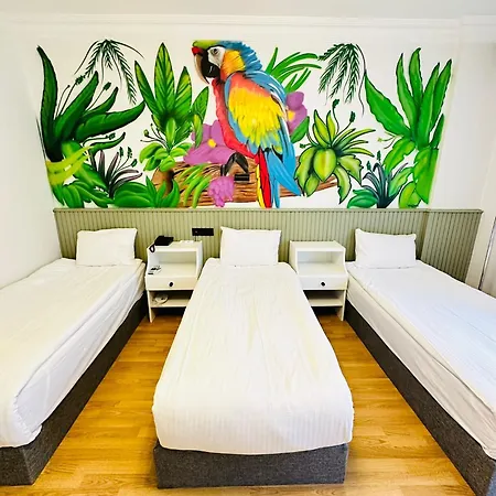 ホテル Sufi Homes コンヤ